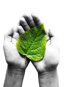 多模态热门推荐：2025年最值得尝试的